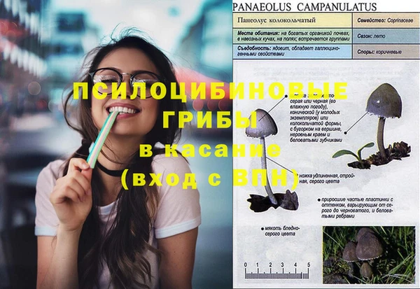 индика Хадыженск