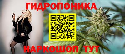 тгк Заволжье
