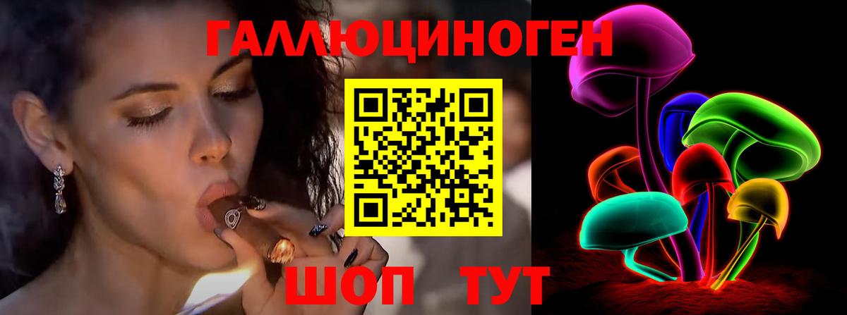 Псилоцибиновые грибы Cubensis Калининград